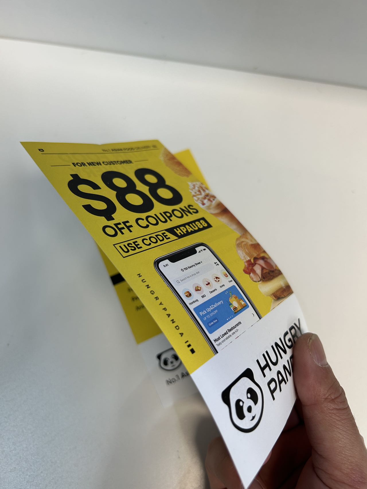 DL Flyers  (Not Fold)