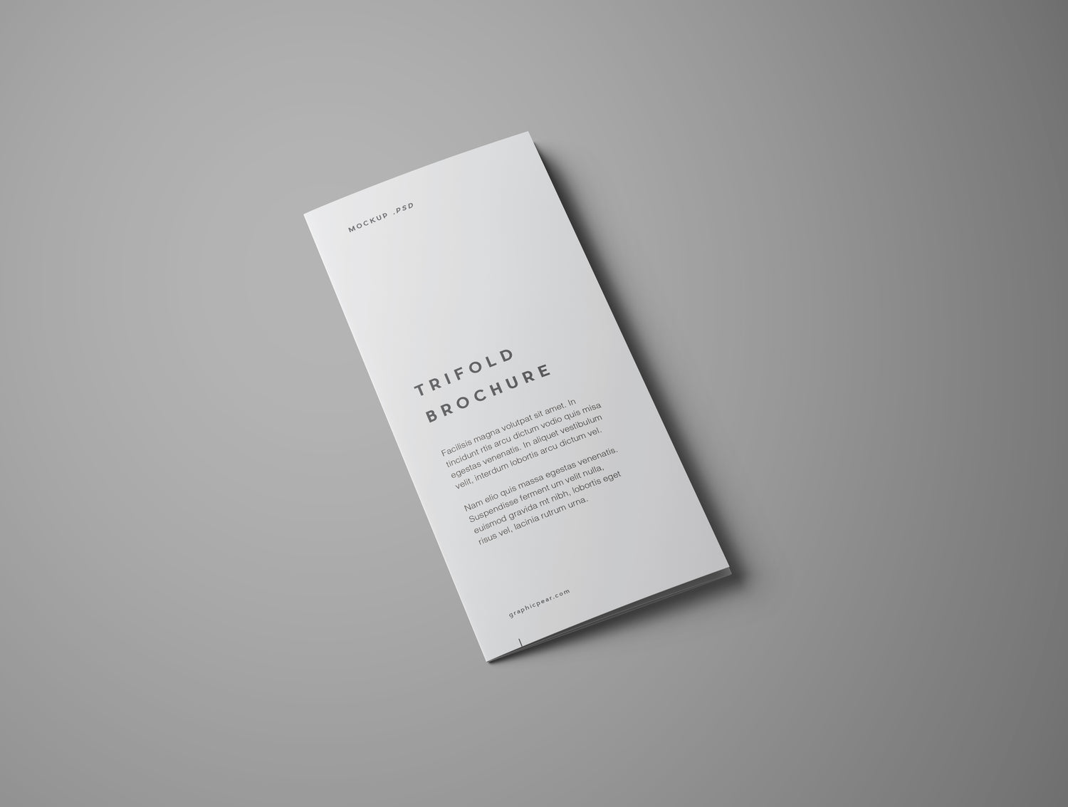 A3 Bi-fold Brochures